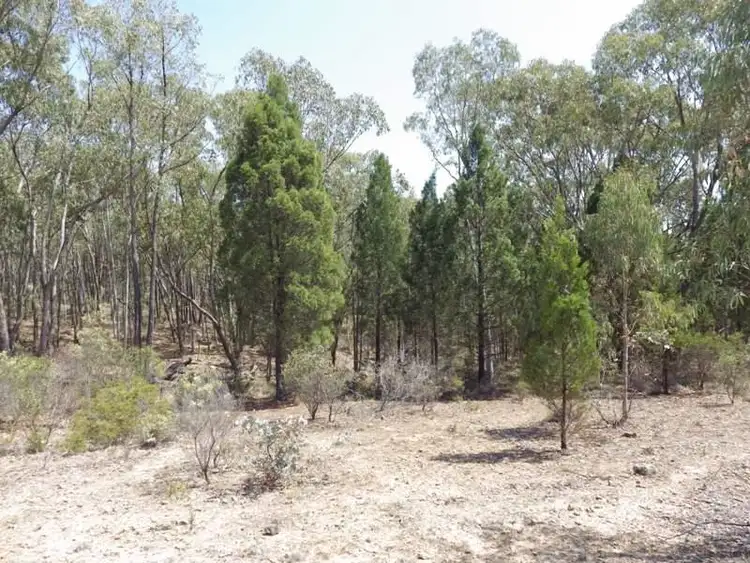 Fifth view of Homely rural property listing, Lot 9 Warrumba Road, Cowra NSW 2794