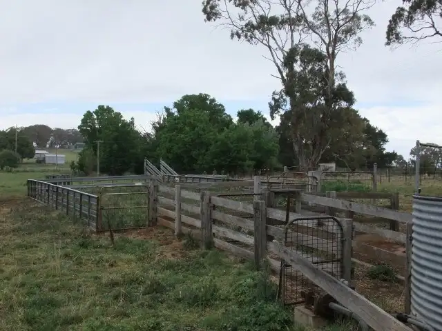 Third view of Homely rural property listing, 2937 Mid Western Highway, Blayney NSW 2799
