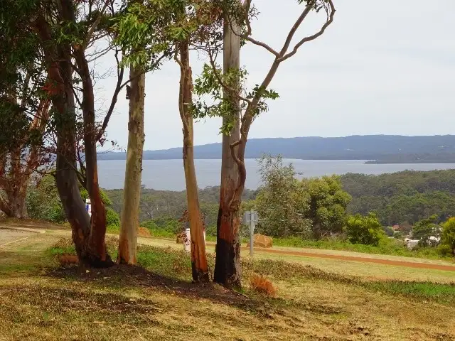 Main view of Homely land listing, 6 Wishart Place, Denmark WA 6333