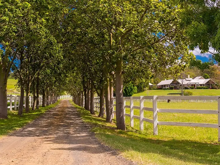 Sixth view of Homely rural property listing, 624 Cryna Road, Cryna QLD 4285