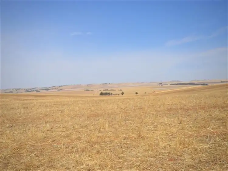 Second view of Homely rural property listing, 2 Lots RM Williams Highway, Andrews via, Spalding SA 5454