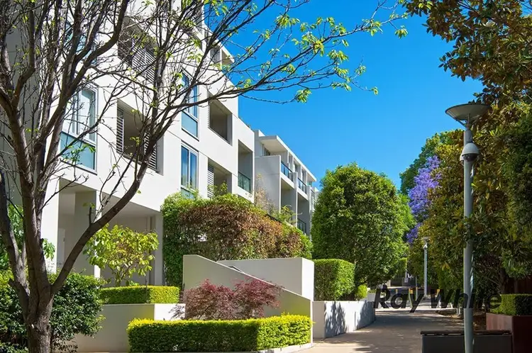 16/1 Day Street, Chatswood NSW 2067