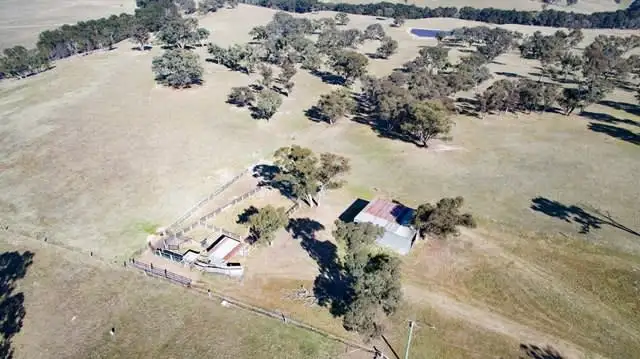 Sixth view of Homely rural property listing, 1887 Hazelgrove Road, Tarana NSW 2787