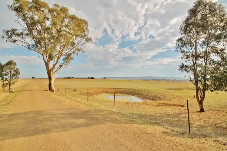 Third view of Homely rural property listing, 125 Calabash Lane, Murringo via, Young NSW 2594