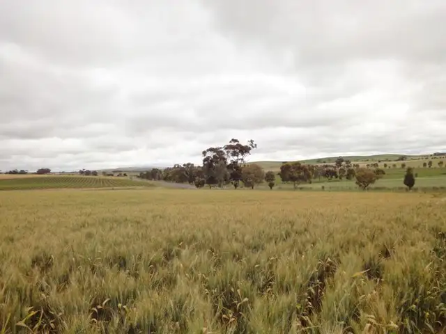 Lot 366 Main North Road, Auburn SA 5451