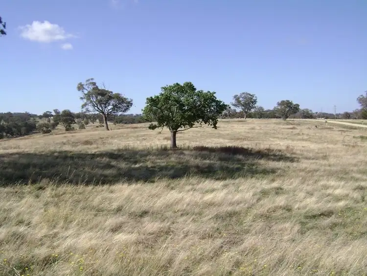 Fourth view of Homely rural property listing, Lot 11 324 Horton Drive, Woodstock NSW 2793