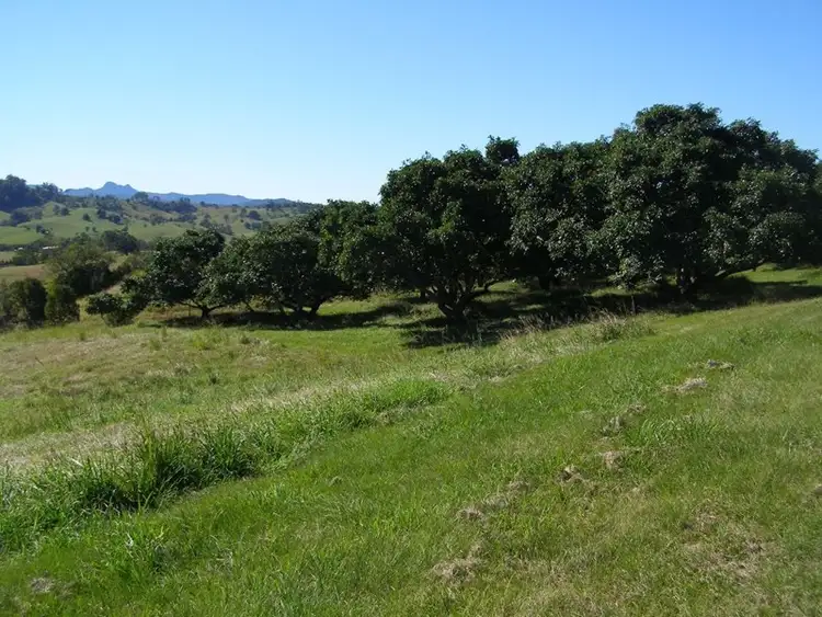 Fifth view of Homely rural property listing, 187 Tyalgum Creek Road, Tyalgum Creek NSW 2484