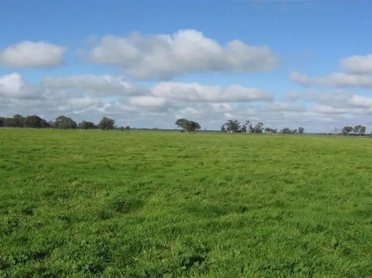 Main view of Homely rural property listing, - Thomas Road, Dingee VIC 3571