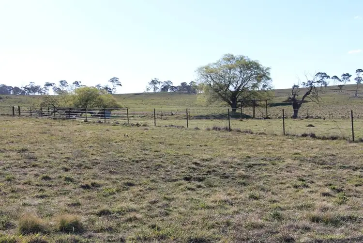 Third view of Homely rural property listing, 257 'Sunnyside' Wards Mistake Road, Guyra NSW 2365