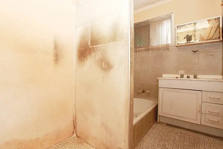 Sixth view of Homely house listing, 36 Desgrand Street, Archerfield QLD 4108