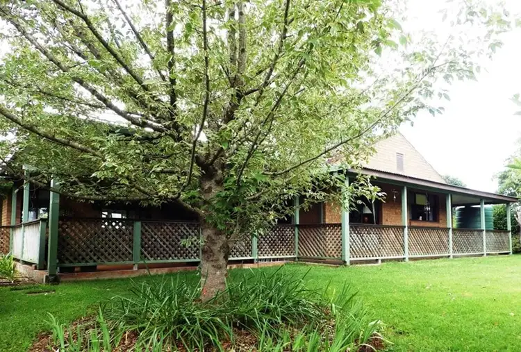 Main view of Homely rural property listing, 291 Paddys Plain Road, Dorrigo NSW 2453