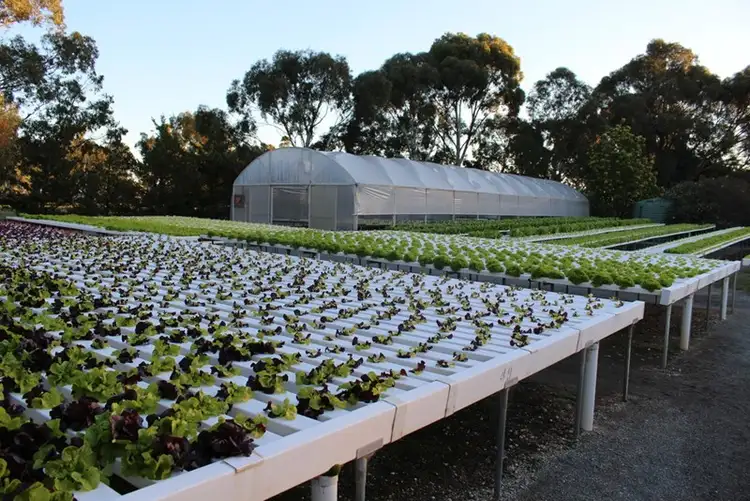 Seventh view of Homely rural property listing, 64 Pianta Road, Echuca VIC 3564