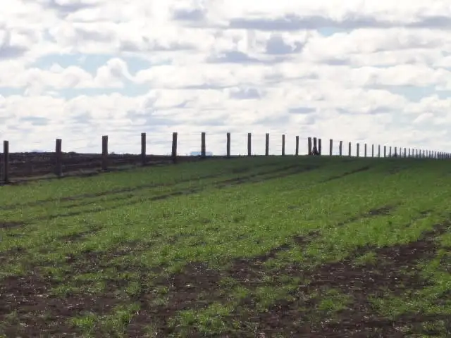 Third view of Homely rural property listing, "Lochlea" Mason Road, Bowenville QLD 4404