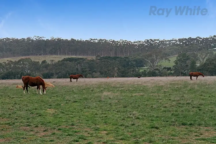 Seventh view of Homely house listing, 2220 Plenty Road, Yan Yean VIC 3755