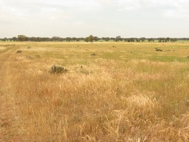 Fourth view of Homely rural property listing, "Hillview" Goldfields Way, Temora NSW 2666