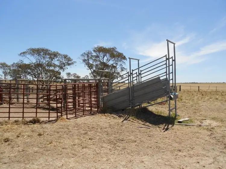 Fourth view of Homely rural property listing, 4703 Emu Flat Road, Bordertown SA 5268