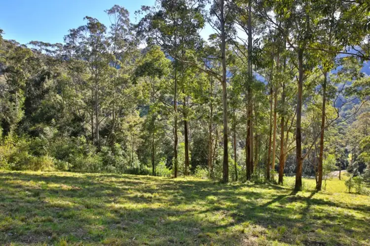 Fourth view of Homely land listing, 265A Bundewallah Road, Bundewallah NSW 2535