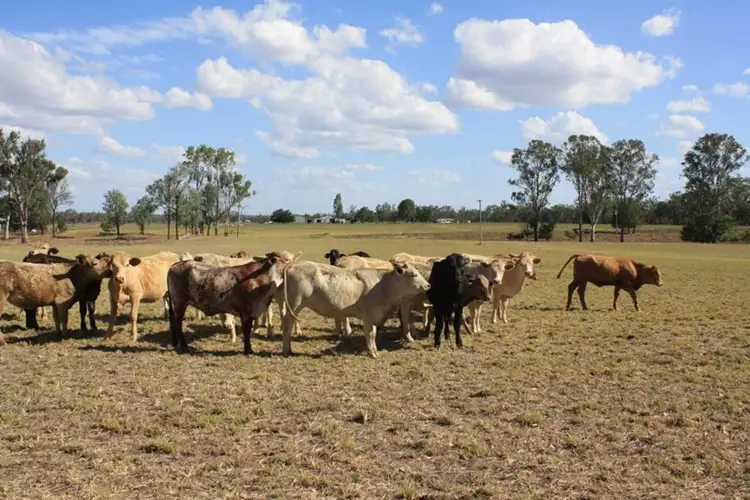"Doessel's" Riverleigh Station Road, Mundubbera QLD 4626