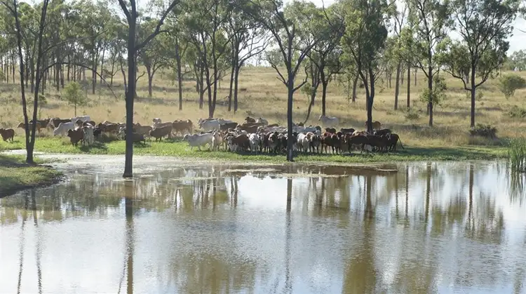 Main view of Homely rural property listing, . Glenroy Road, Morinish QLD 4702