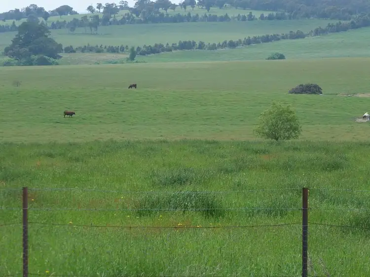 Fourth view of Homely rural property listing, 1233 Triangle Flat Road, Bathurst NSW 2795