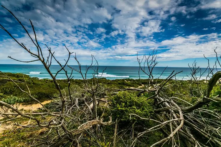 Fifth view of Homely house listing, 74 - 78 Paradise Drive, St Andrews Beach VIC 3941