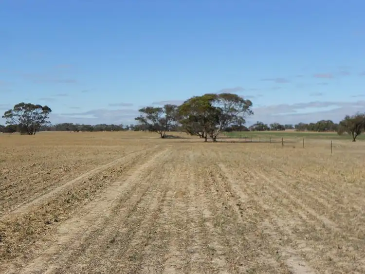 Sixth view of Homely rural property listing, 966 Pine Hill Road, Bordertown SA 5268