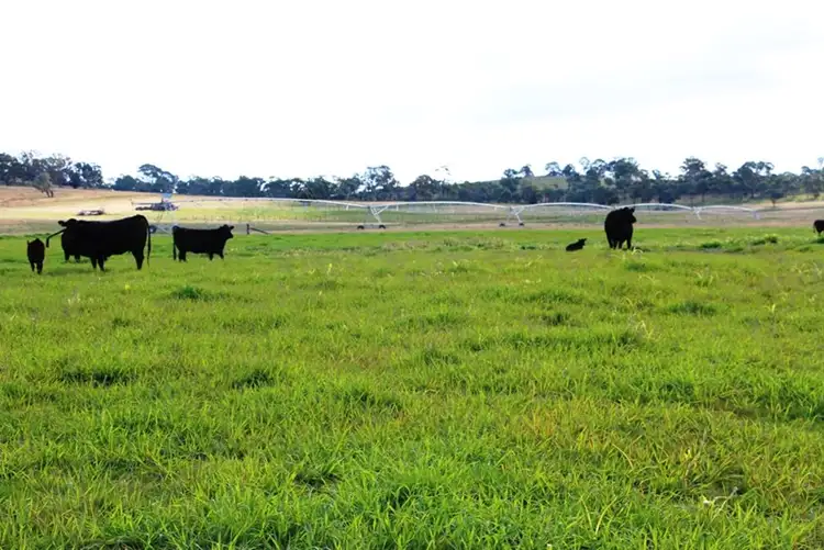 Fifth view of Homely rural property listing, 1735 "Karoola" Old Armidale Road, Guyra NSW 2365