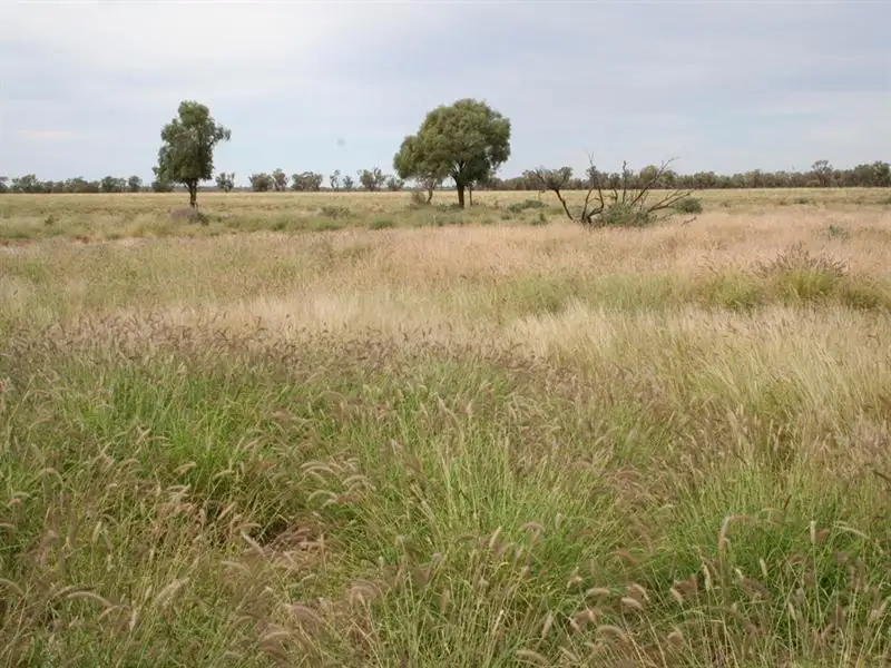 Main view of Homely rural property listing, 0 SPRING CREEK, Wyandra QLD 4489