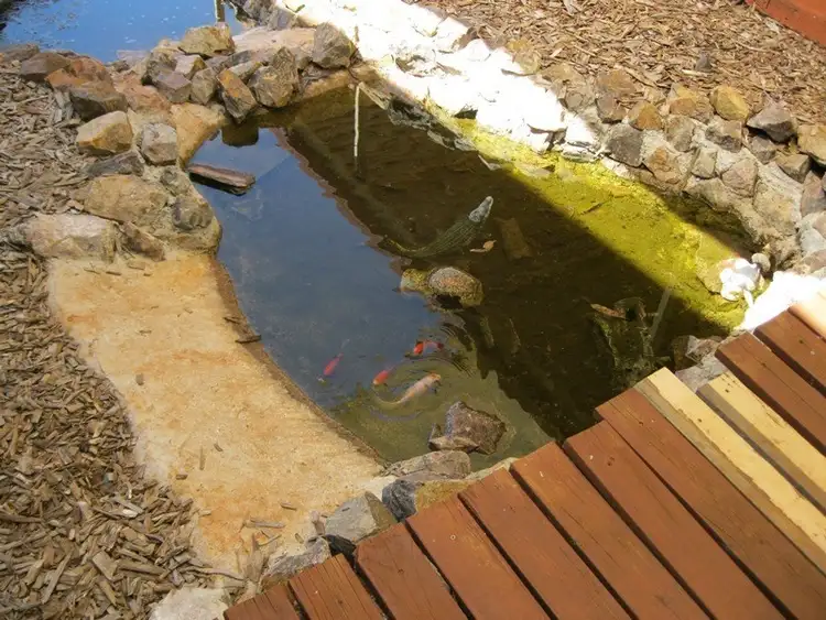 Sixth view of Homely rural property listing, 451 Hayne Kite Millar Road, Blackbutt QLD 4306
