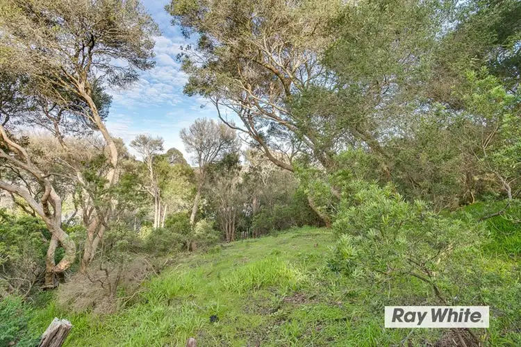 Fourth view of Homely land listing, 13 Rodney Street, Rye VIC 3941
