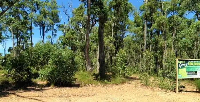 Third view of Homely land listing, Lot 3 Widdeson Street, Nannup WA 6275