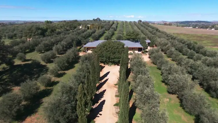 Second view of Homely house listing, 32 Quarry Road, Canowindra NSW 2804