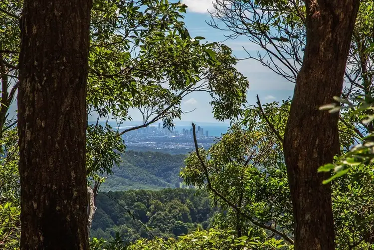 Second view of Homely rural property listing, 70 Cougal Road, Carool NSW 2486