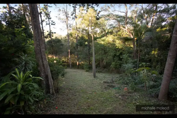 Third view of Homely house listing, 41 Burbong Street, Chapel Hill QLD 4069