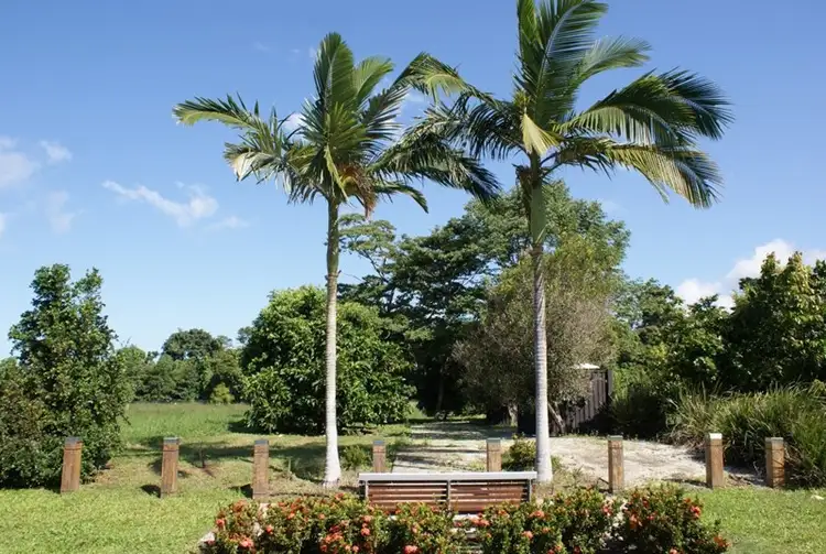 Sixth view of Homely land listing, 11 Reef Close, Mission Beach QLD 4852