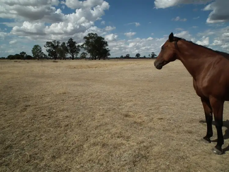 Third view of Homely rural property listing, 56 Wormangal Wahring Road, Wahring VIC 3608