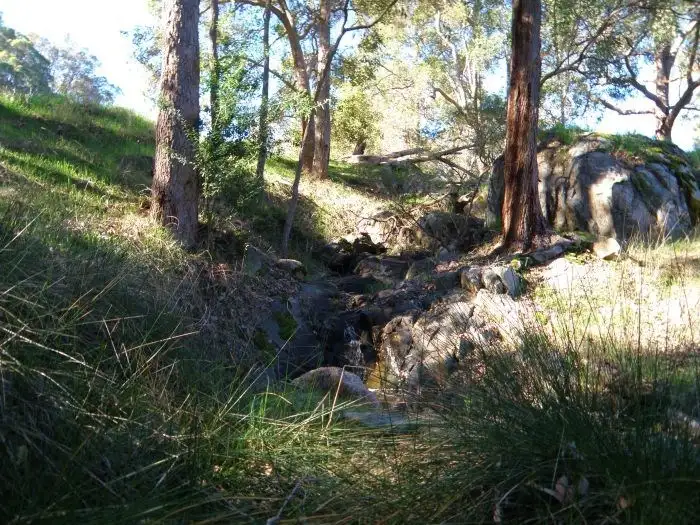 Sixth view of Homely rural property listing, 3 Halleys Road, Nannup WA 6275