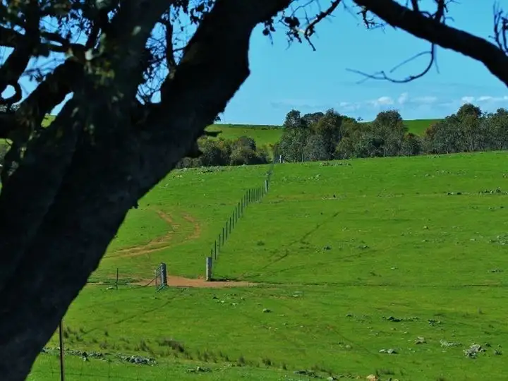 Sixth view of Homely rural property listing, Lots 1-6, 50 Loeman Road, Tooborac VIC 3522