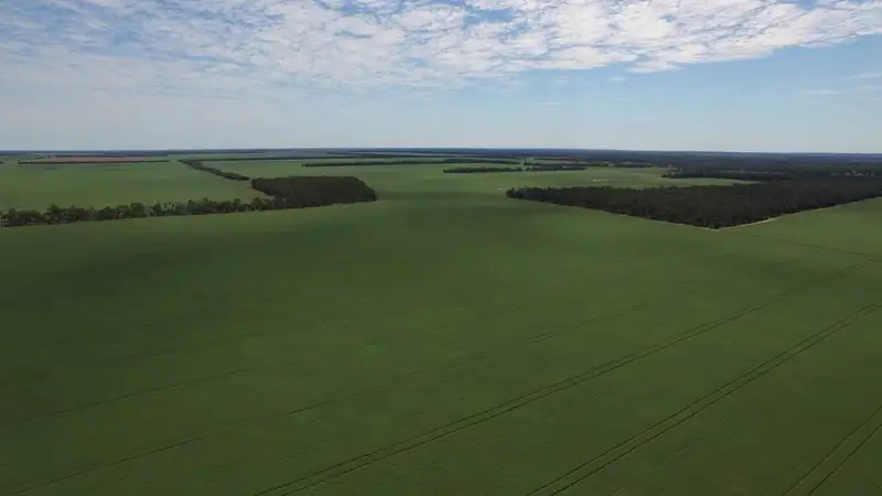 Main view of Homely rural property listing, 9698 ROMA - CONDAMINE Road, Condamine QLD 4416