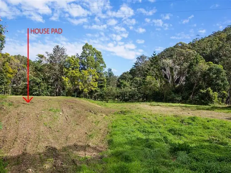 Third view of Homely rural property listing, 1282 Tyalgum Road, Tyalgum NSW 2484