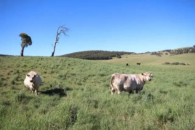 Fourth view of Homely rural property listing, 235 Duckmaloi Road, Oberon NSW 2787