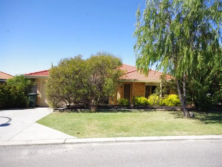 19 Floribunda Gardens, Mirrabooka WA 6061