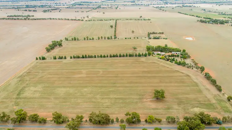 Second view of Homely rural property listing, 621 Coursing Park Road, Downside NSW 2650