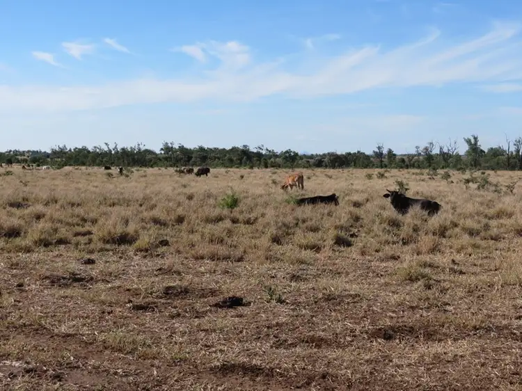 Fifth view of Homely land listing, Lot 193 Capricorn Highway, Emerald QLD 4720