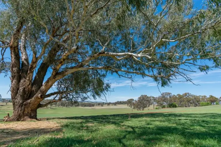 87 Bargwanna Road, Orange NSW 2800