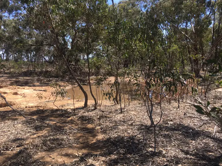 Third view of Homely rural property listing, 28 Forster Lane, Landsborough VIC 3384