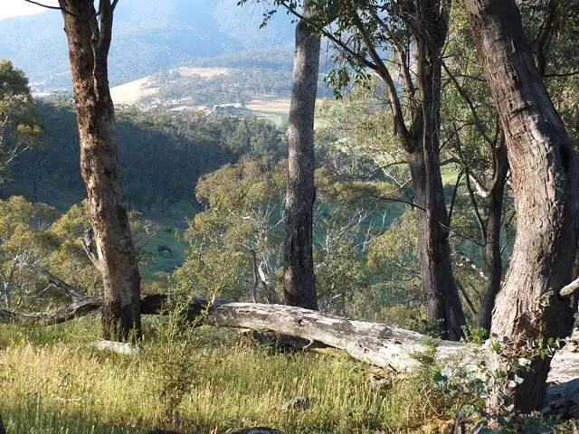 Sixth view of Homely rural property listing, 571 Cuthill Road, Hampton NSW 2790