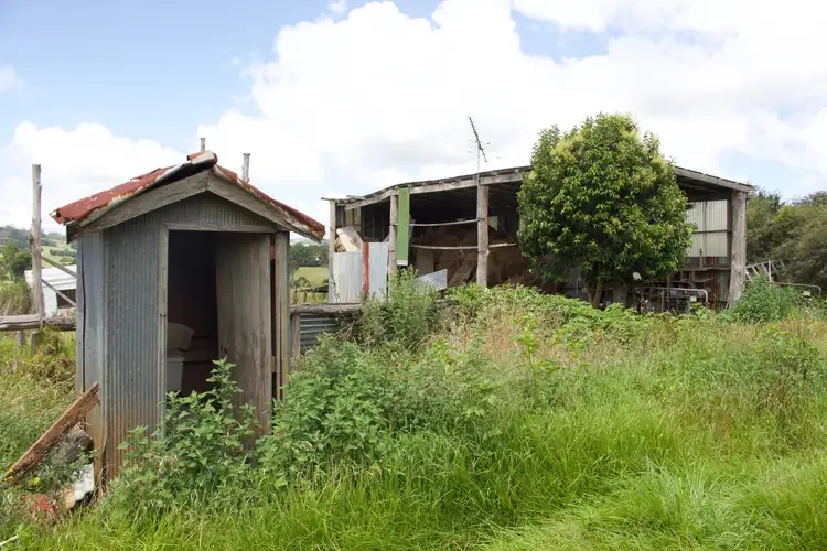 Seventh view of Homely rural property listing, 4303 Waterfall Way, Dorrigo NSW 2453