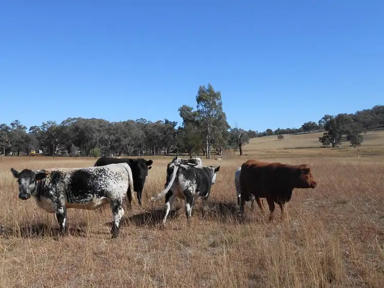 Fourth view of Homely land listing, Lot 2 633 Moore Creek Road, Tamworth NSW 2340
