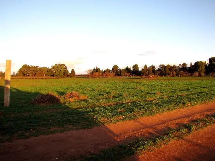 Third view of Homely land listing, 18 and 19 Tunkin Road, Barmera SA 5345